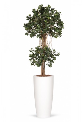 Kunstplant Ficus Panda Kunstplant Ficus Panda