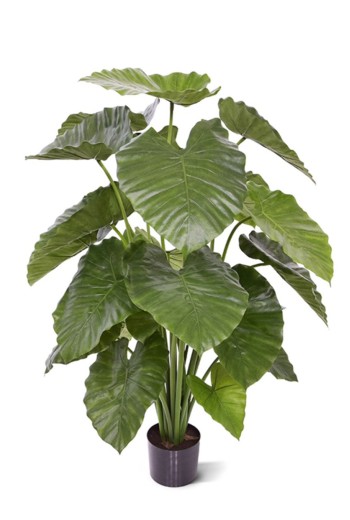 Alocasia Calidora kunstplant 115cm Alocasia Calidora kunstplant 115cm