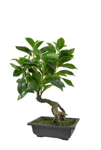 Ficus kunst Bonsai 50 cm in schaal Ficus kunst Bonsai 50 cm in schaal