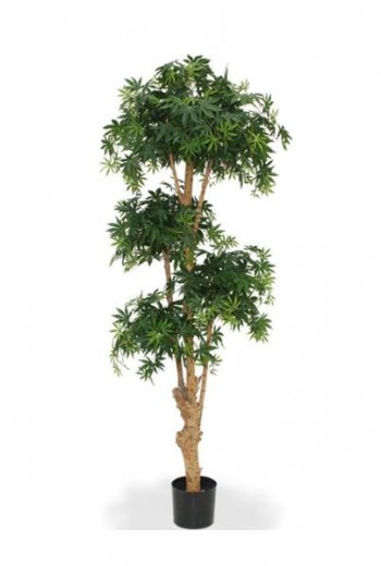 Acer Bonsai Deluxe 170 cm groen Acer Bonsai Deluxe 170 cm groen