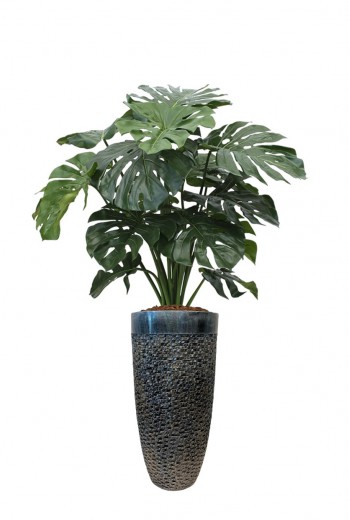 Kunstplant Monsteri 100cm Kunstplant Monsteri 100cm