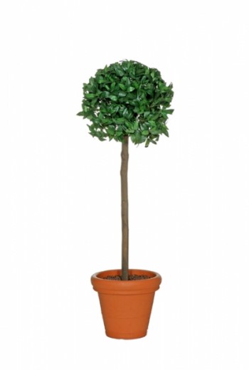 Kunstboom Laurier bolboom Kunstboom Laurier bolboom