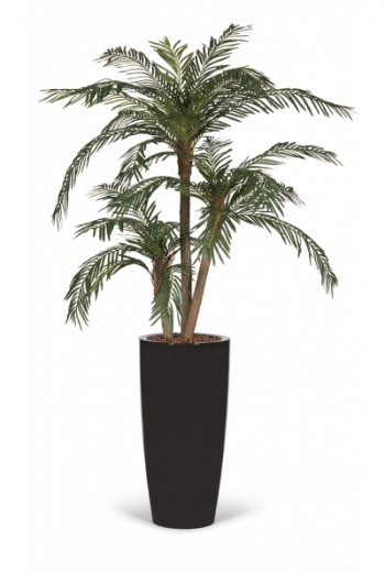 Kunstpalm Cycaspalm Kunstpalm Cycaspalm
