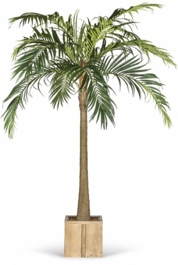 Kunstpalm Majesty x10 Kunstpalm Majesty x10