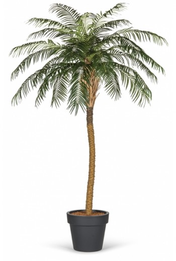 Kunstpalm Phoenix Deluxe Kunstpalm Phoenix Deluxe