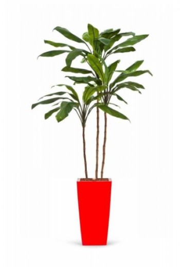 Kunstplant cordyline fructicisa Kunstplant cordyline fructicisa