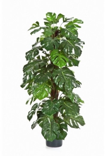 Kunstplant Monstera Kunstplant Monstera