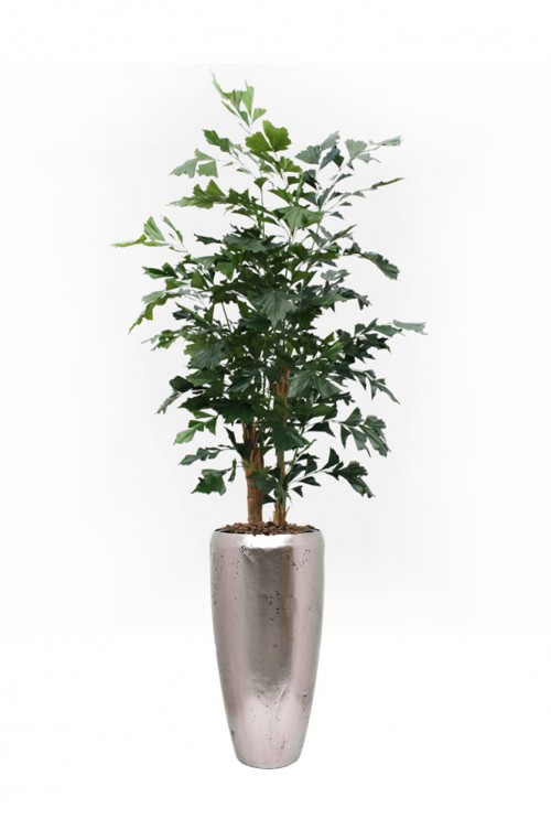 Fishtail XL deluxe kunstpalm 190cm in Baq plantenbak Fishtail XL deluxe kunstpalm 190cm in Baq plantenbak