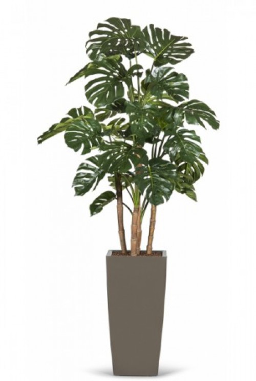 Kunstplant_Monstera Kunstplant_Monstera