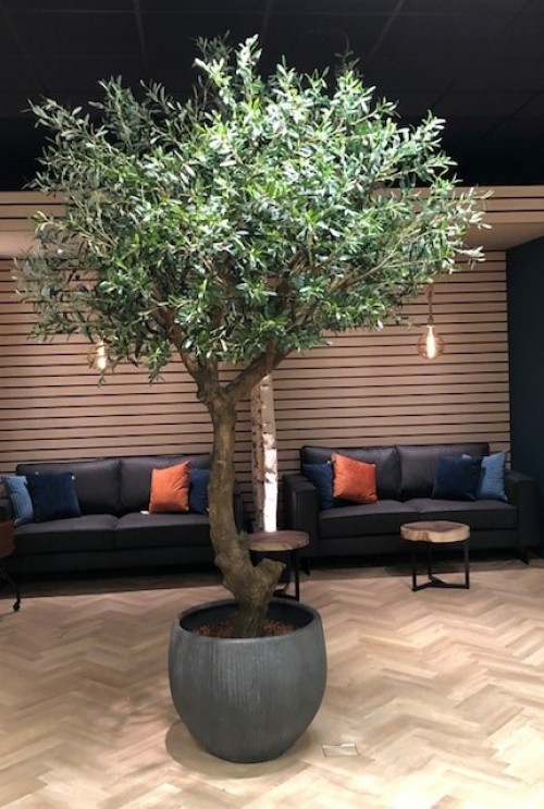 Oriental Olijf deluxe kunstboom op stam 120cm | Maxifleur kunstplanten Oriental Olijf deluxe kunstboom op stam 120cm | Maxifleur kunstplanten