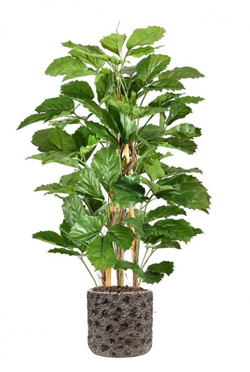 Tetrastigma kunstplant 120cm Tetrastigma kunstplant 120cm