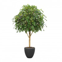 Ficus Exotica Giant 290 kunstboom FR Ficus Exotica Giant 290 kunstboom FR