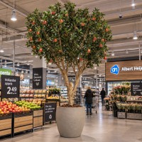 Kunst Appelboom Deluxe XL 280cm