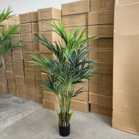 Kunst Kentia palm promo 180cm