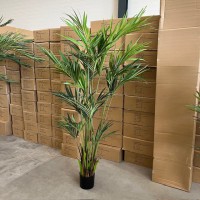 Kunst Kentia palm promo 210cm