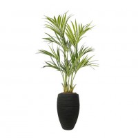 Kunst-kentia-palm-capi Kunst-kentia-palm-capi