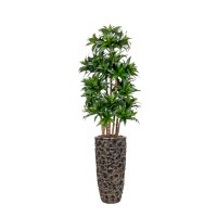 Kunstplant-Dracaena-Fragans-Compacta Kunstplant-Dracaena-Fragans-Compacta