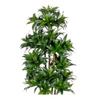 Kunstplant Dracaena Fragans Compacta dichtbij Kunstplant Dracaena Fragans Compacta dichtbij