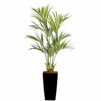 Kunstplant-Kentia Kunstplant-Kentia