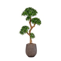 Kunstplant-Podocarpus-on-grazy trunk