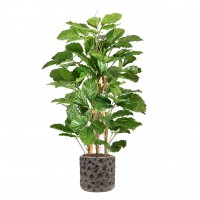 Tetrastigma kunstplant 120cm Tetrastigma kunstplant 120cm