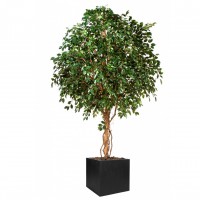 kunst Ficusboom 360cm