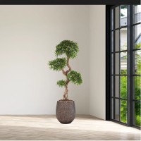 kunstplant-podocarpus-achtergrond